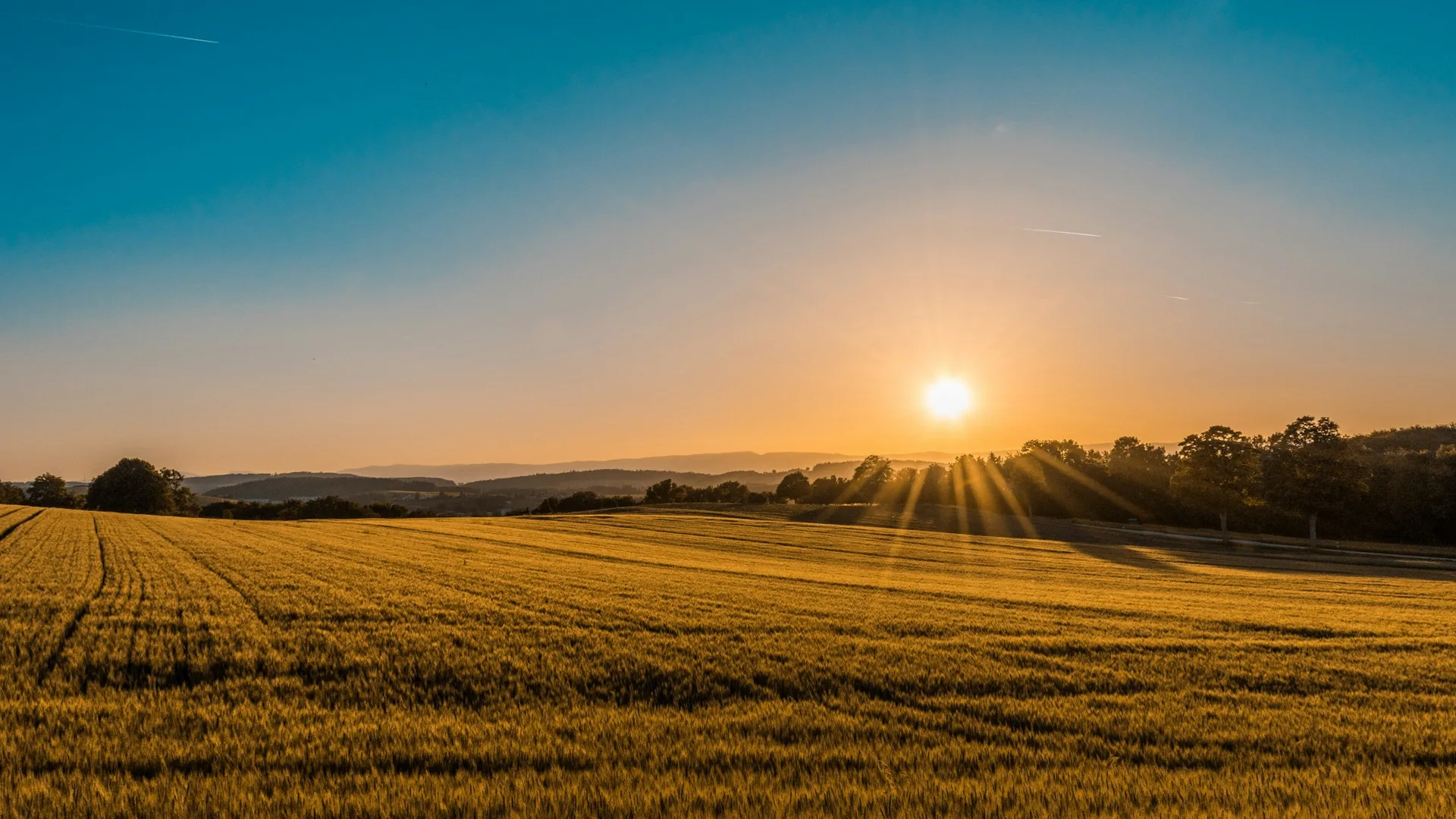Le soleil se lève sur des parcelles agricoles vallonnées